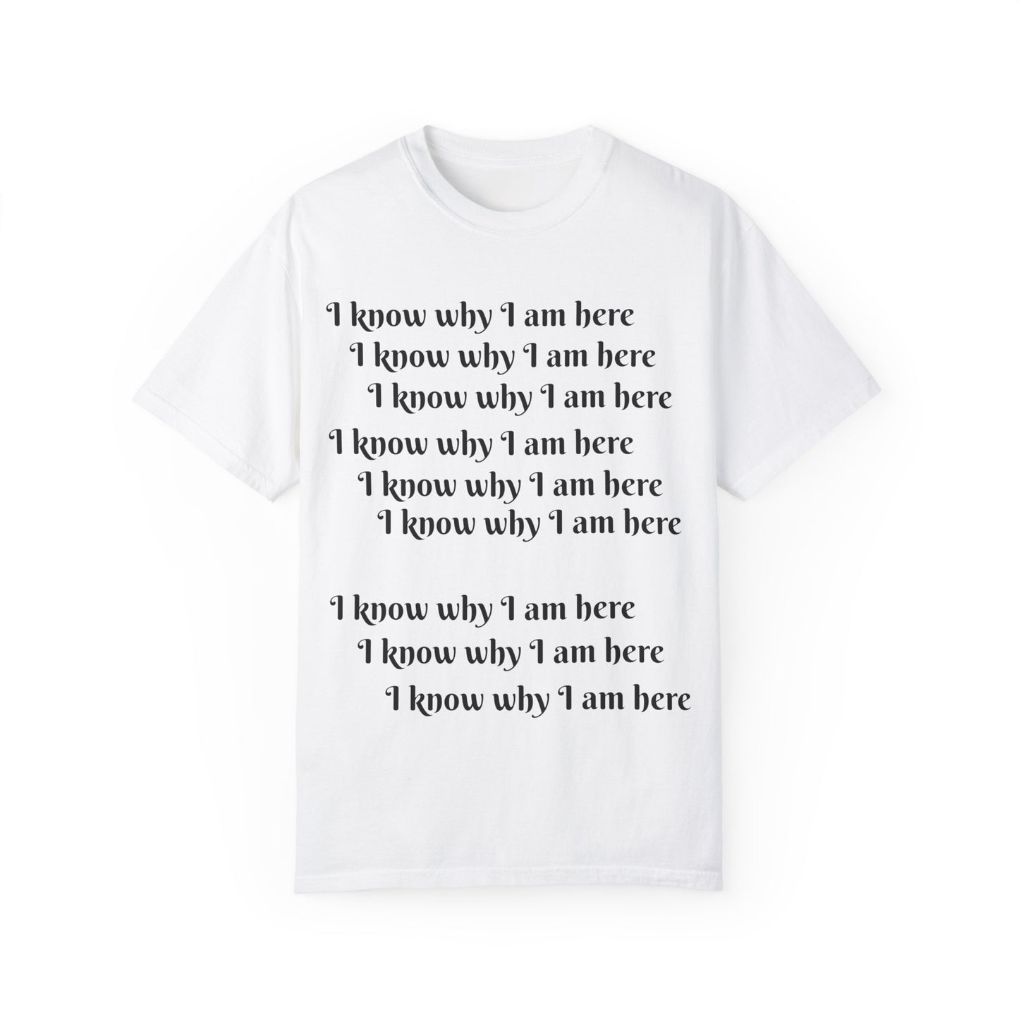 Unisex Garment-Dyed T-shirt By BayLisia Ewing